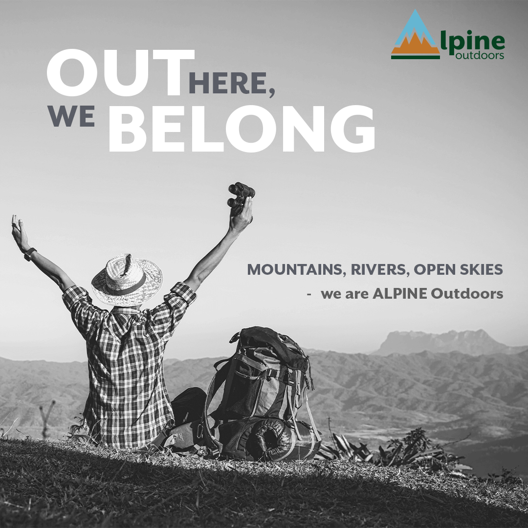 alpine socila media ad